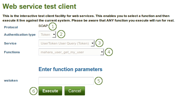 Web services test client