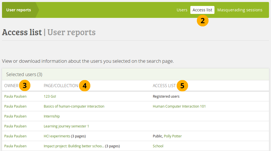 User report page access list