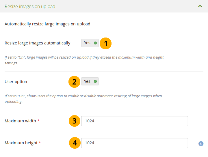 Configure the image resizing options