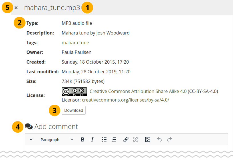 Metadata for a file that can be downloaded