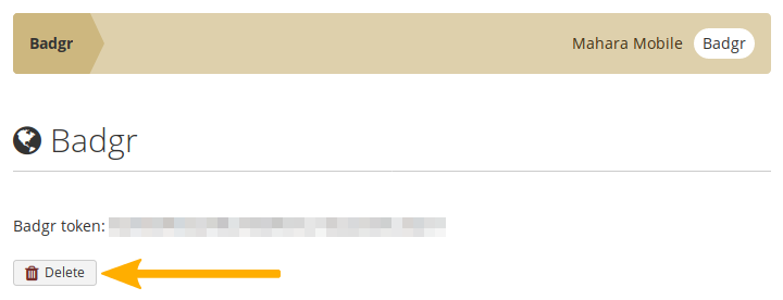 Delete your Badgr token