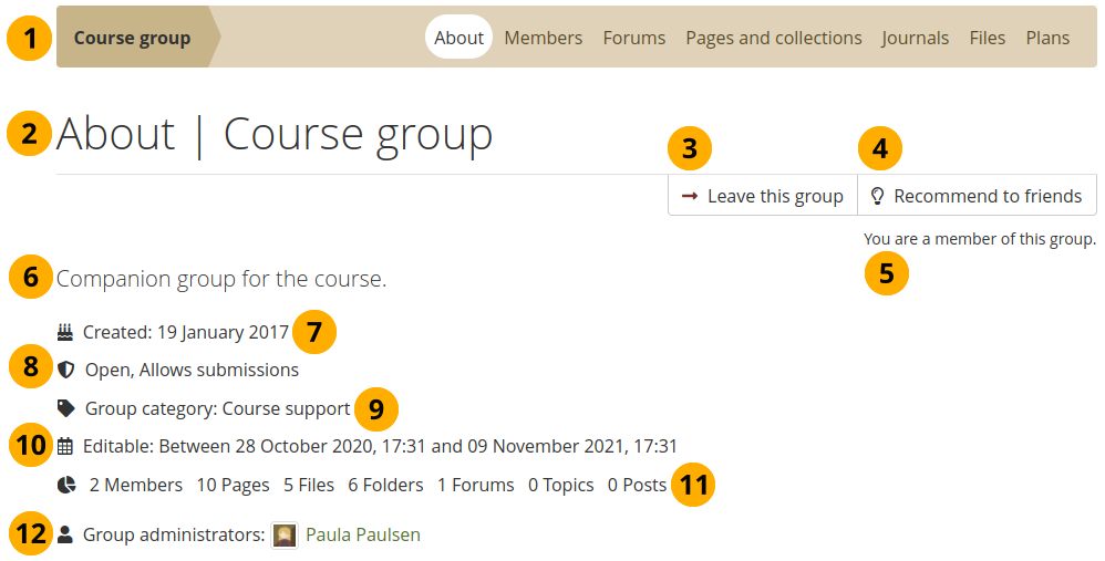 View group homepage as regular group member