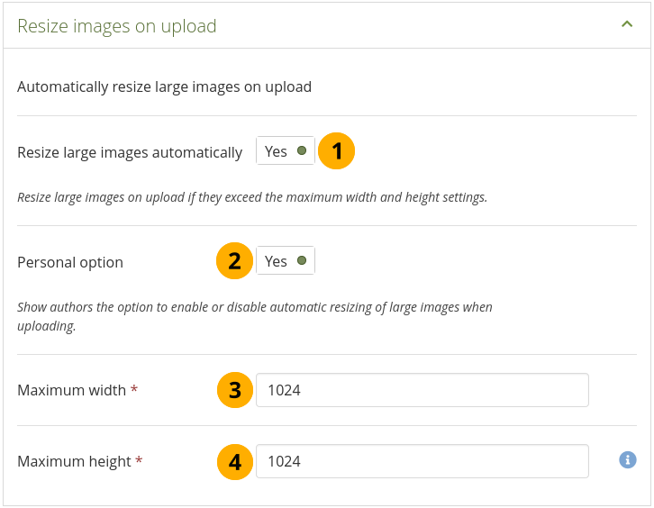 Configure the image resizing options