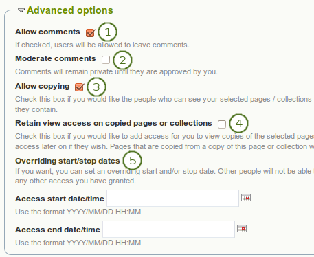 Advanced access options