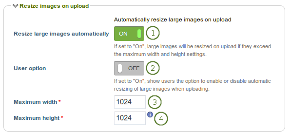 Configure the image resizing options