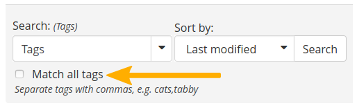 search tags only