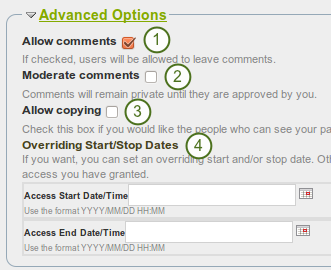 Advanced access options