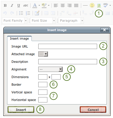 Insert an external image into a journal post